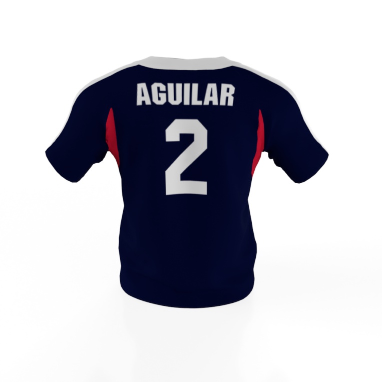 Ali Aguilar USA Softball Jersey Back
