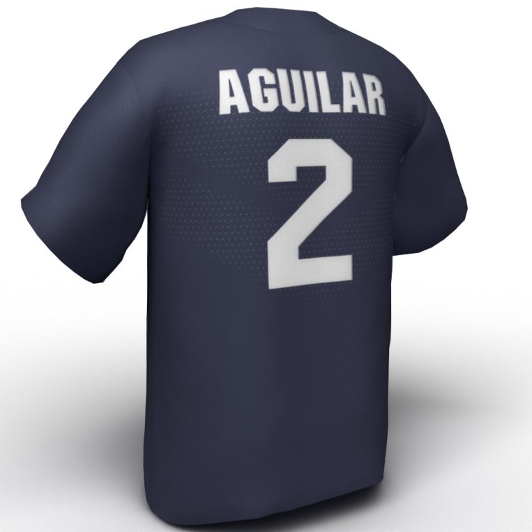 Ali Aguilar USA Softball Jersey navy back