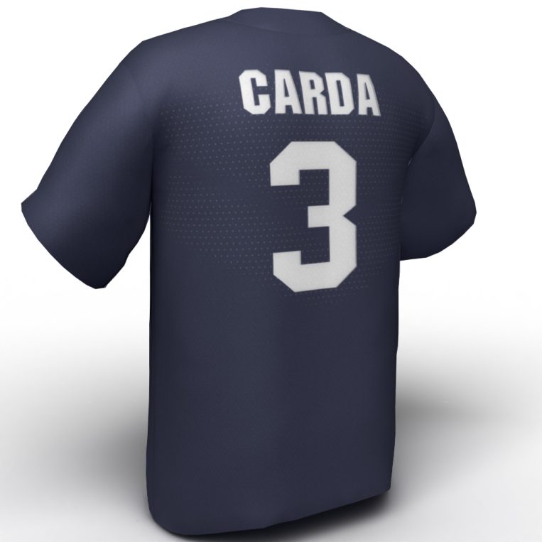 Aly Carda USA Softball Jersey navy back