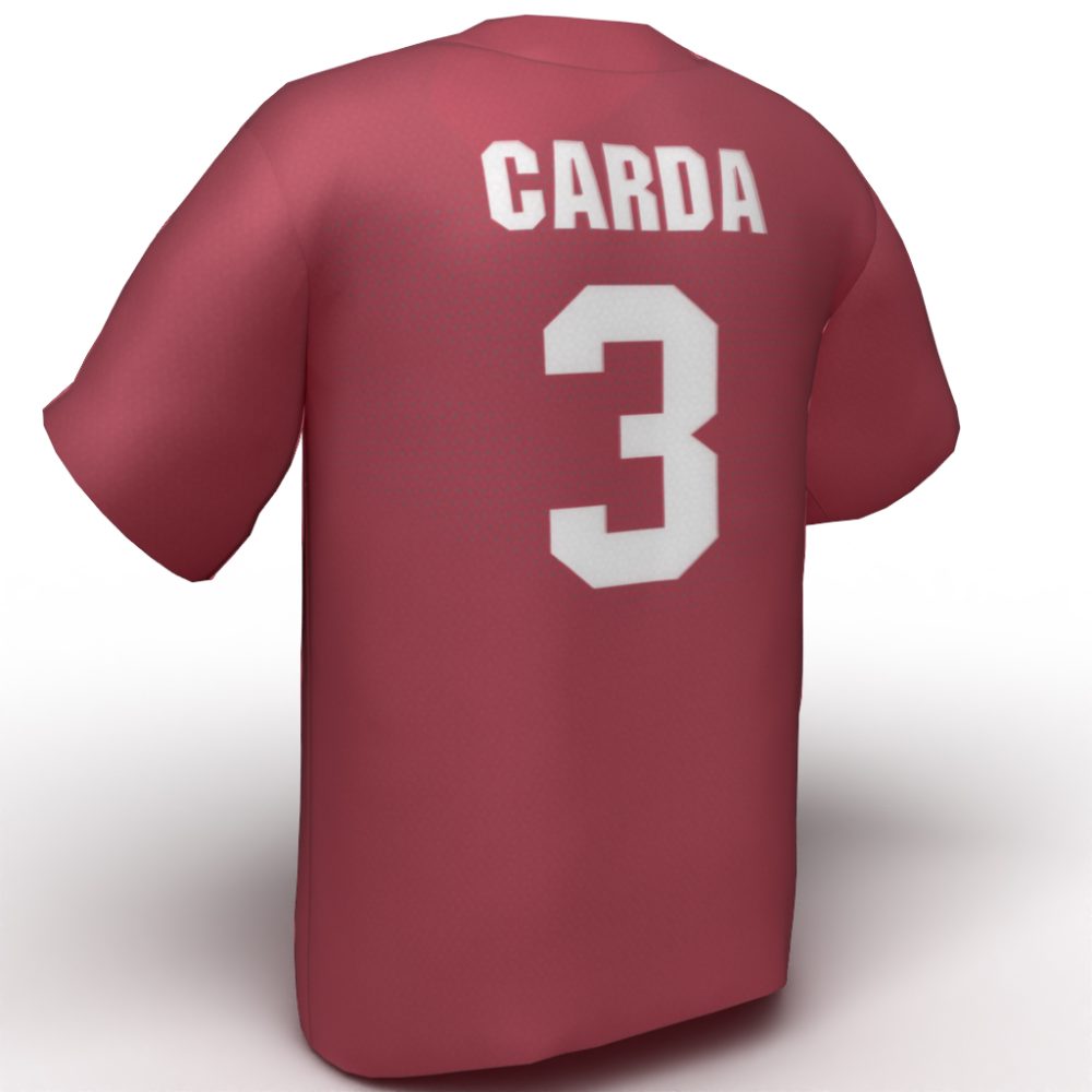 Aly Carda USA Softball Jersey red back