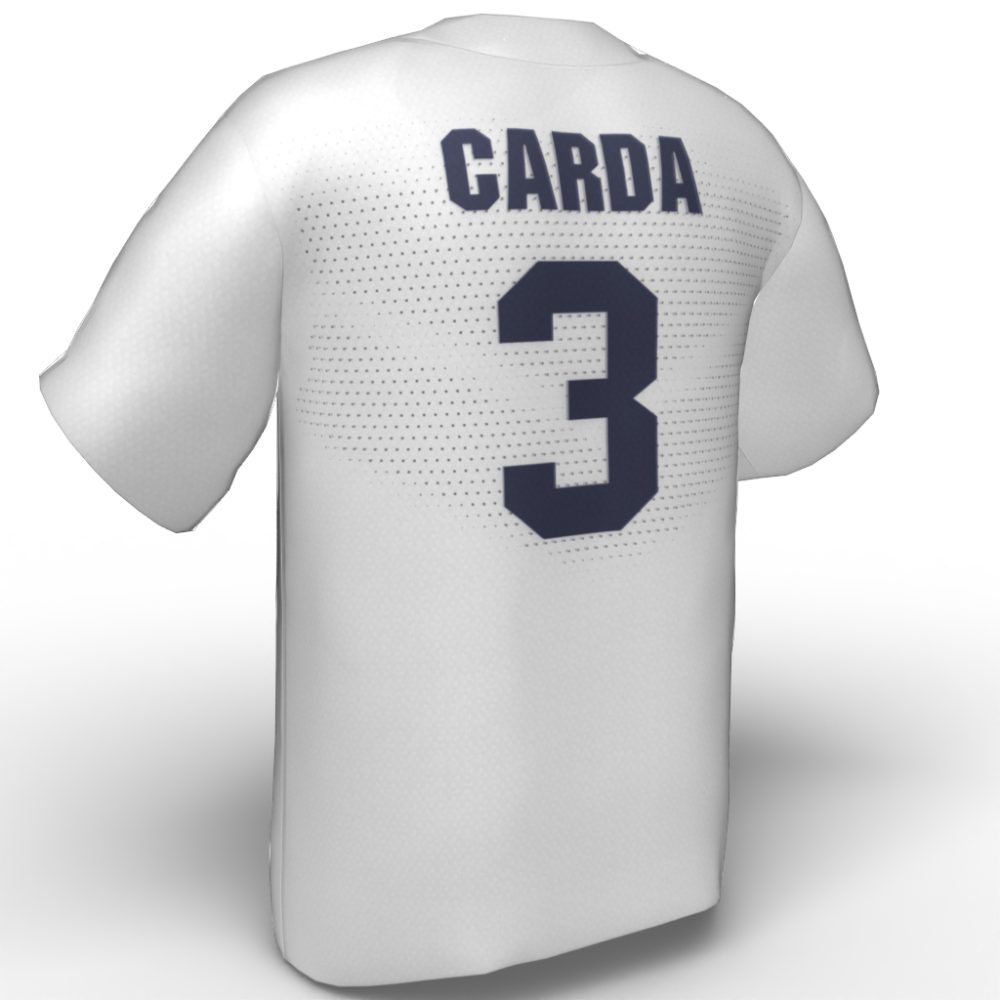 Aly Carda USA Softball Jersey white back