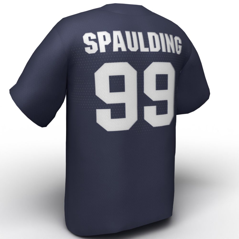 Delaney Spaulding USA Softball Jersey navy back