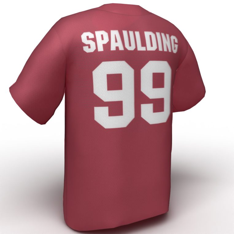 Delaney Spaulding USA Softball Jersey red back