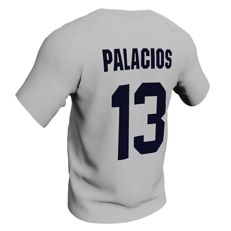Sharlize Palacios USA Softball Jersey White Back